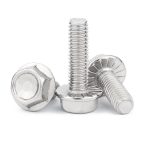 SS Flanş Cıvatası